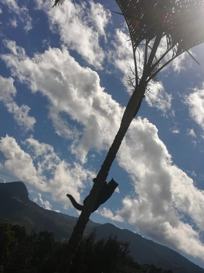 Finca Cafetera El Coral Jardín Buitenkant foto