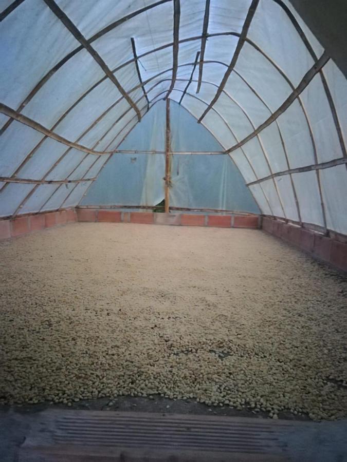 Finca Cafetera El Coral Jardín Buitenkant foto